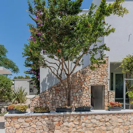 Tome-1 By Interhome Vir